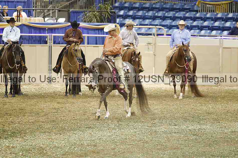 Proof 12usn_29090