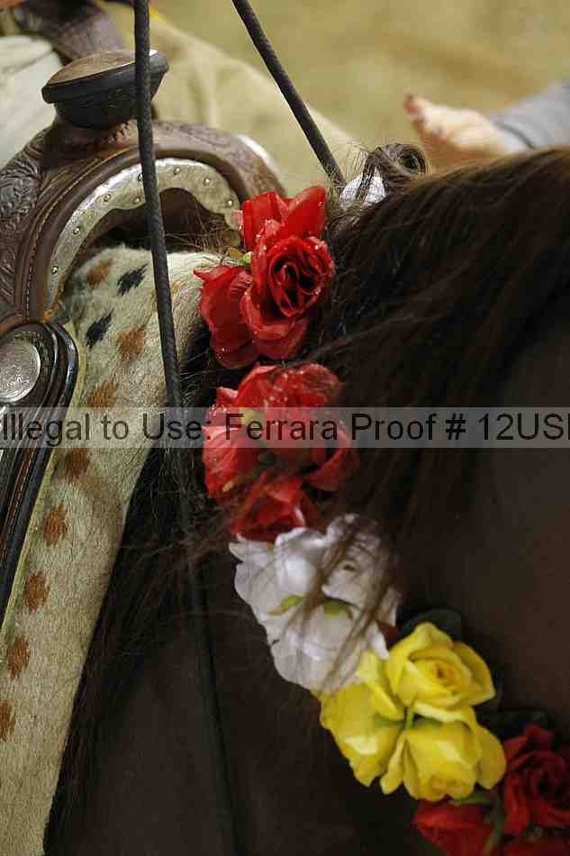 Proof 12usn_29113