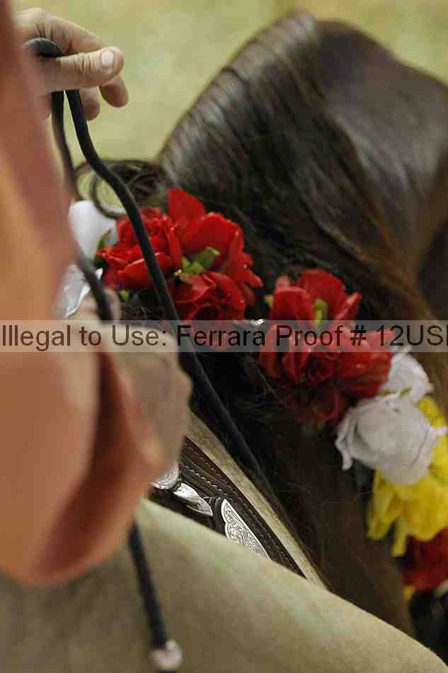 Proof 12usn_29114