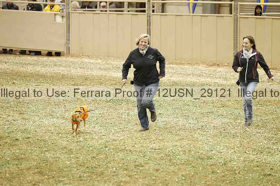 Proof 12usn_29121