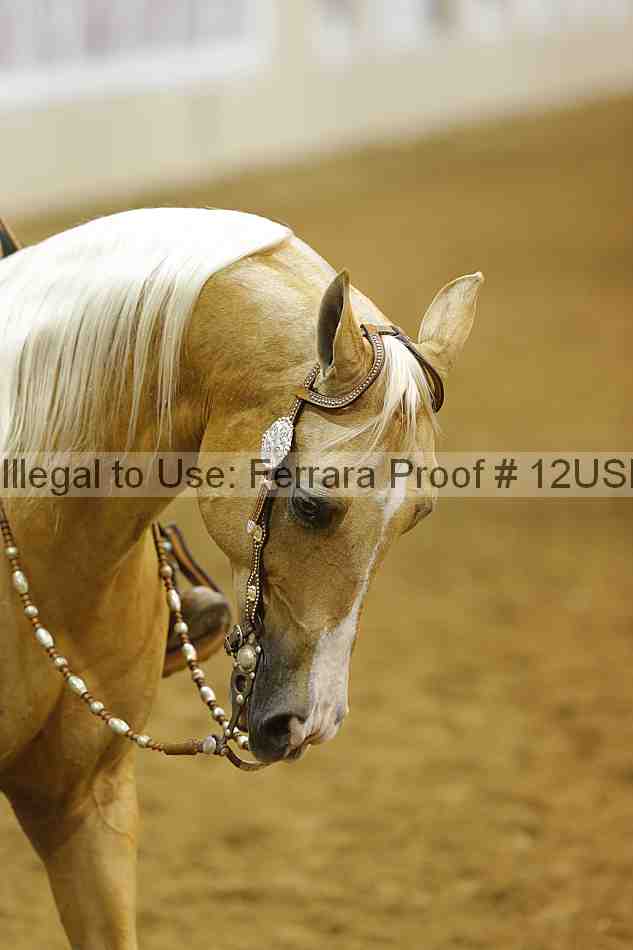 Proof 12usn_14709