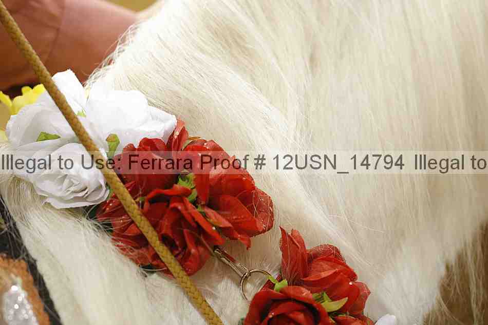 Proof 12usn_14794