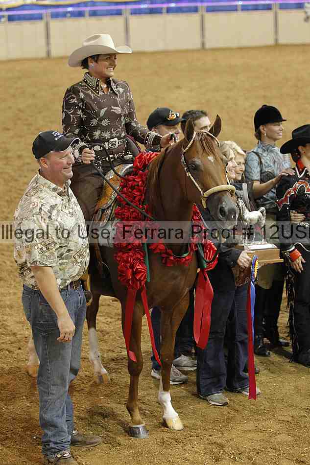 Proof 12usn_14833