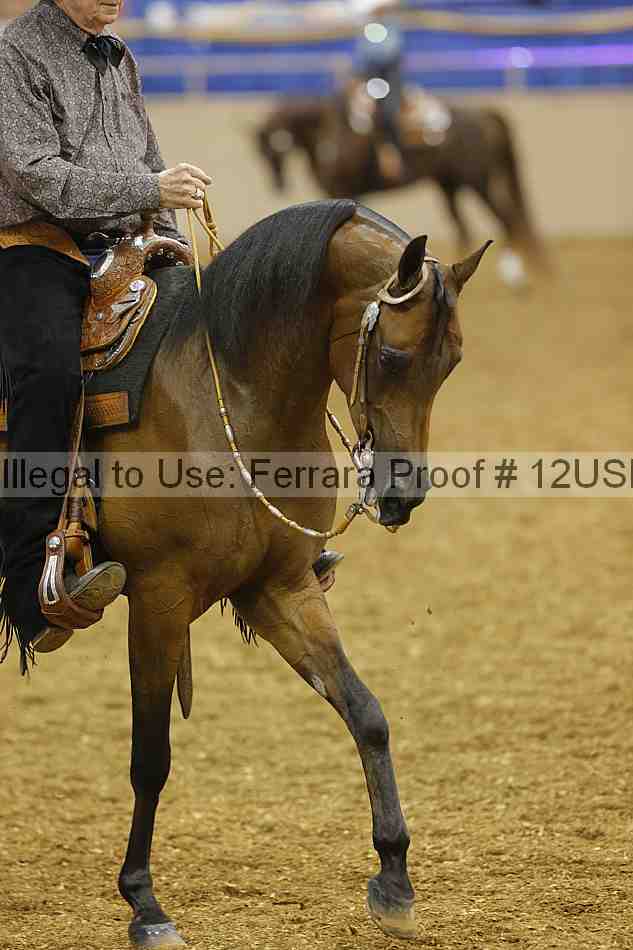 Proof 12usn_06326