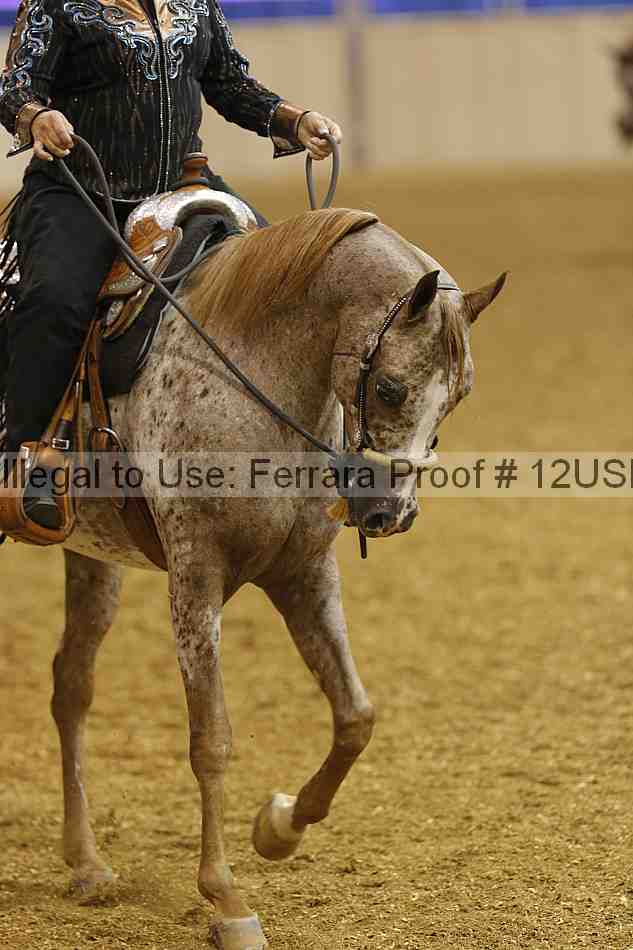 Proof 12usn_06343