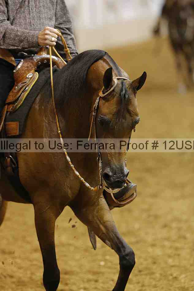 Proof 12usn_06352