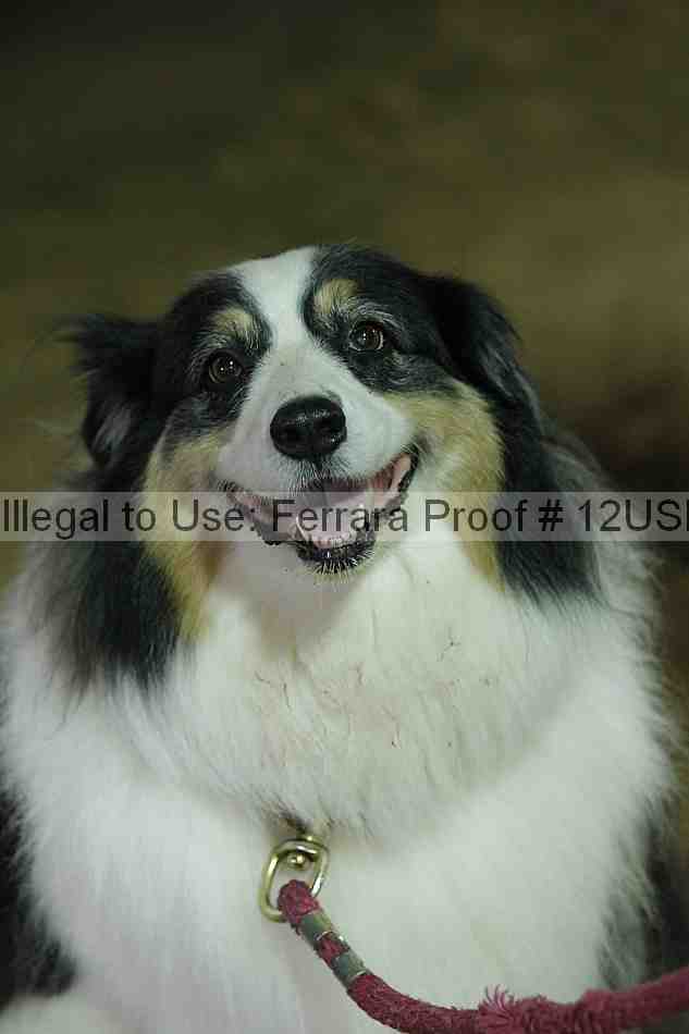 Proof 12usn_06515