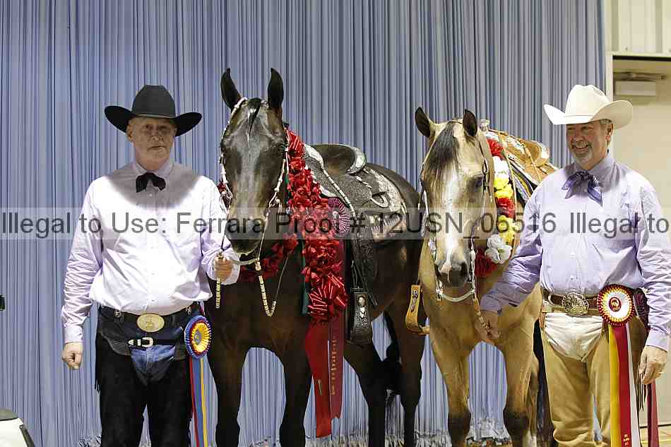 Proof 12usn_06516