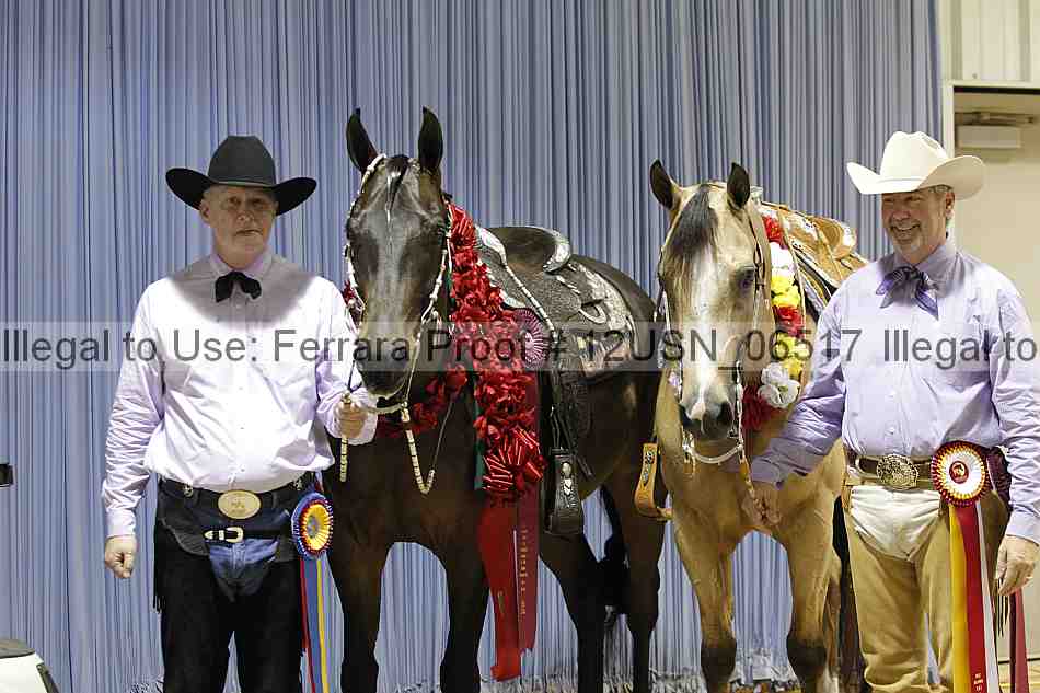 Proof 12usn_06517