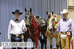 12usn_06517 proof