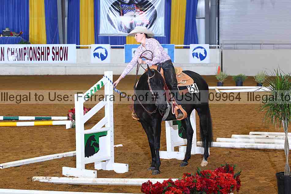 Proof 12usn_09964