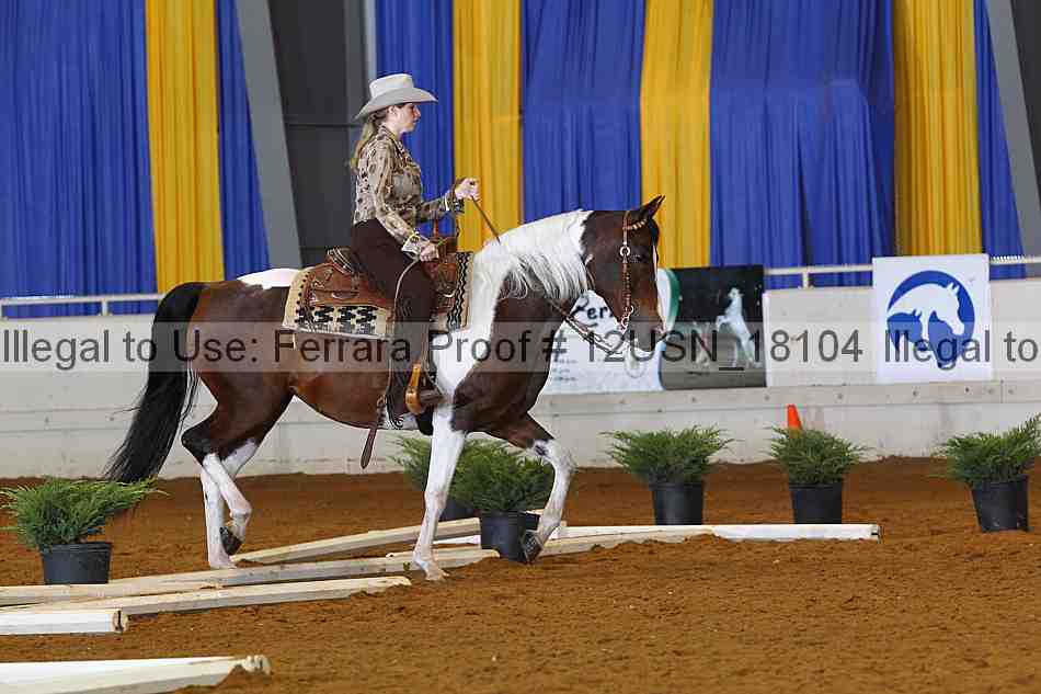 Proof 12usn_18104