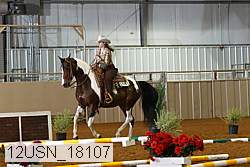12usn_18107 proof