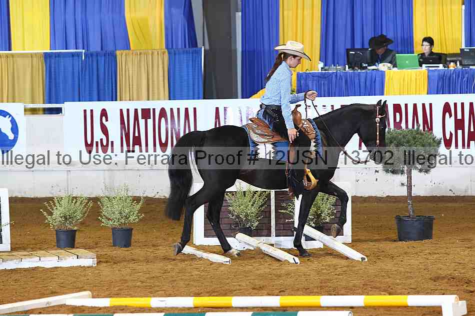 Proof 12usn_13702