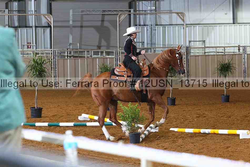 Proof 12usn_13715