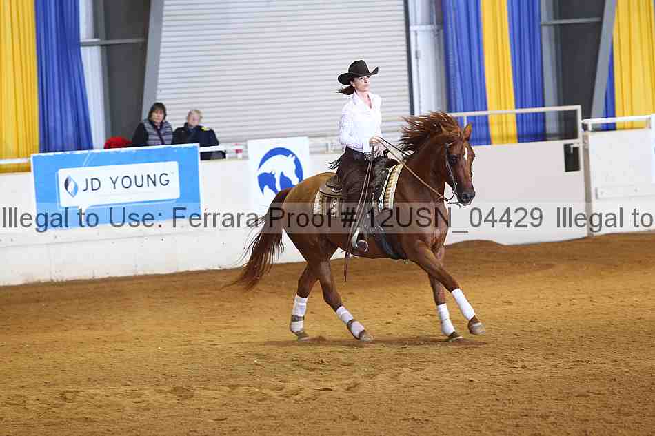 Proof 12usn_04429