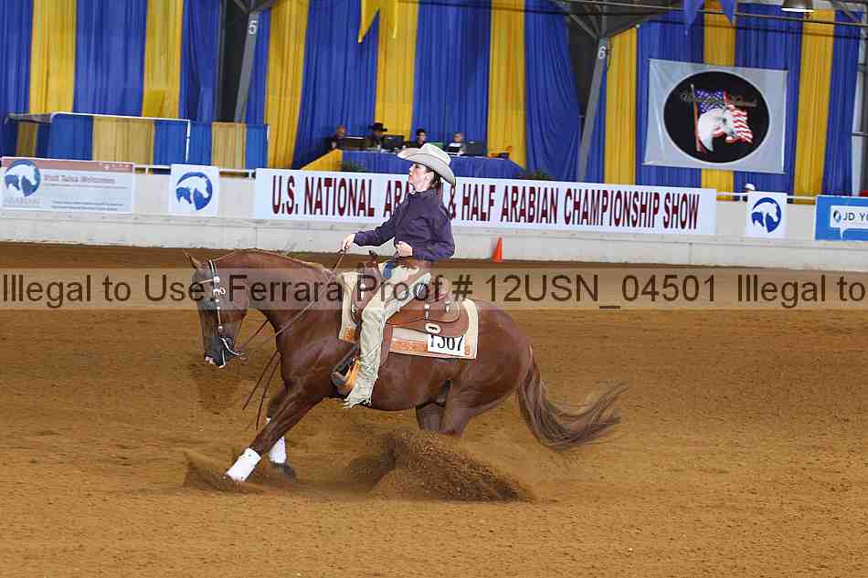 Proof 12usn_04501