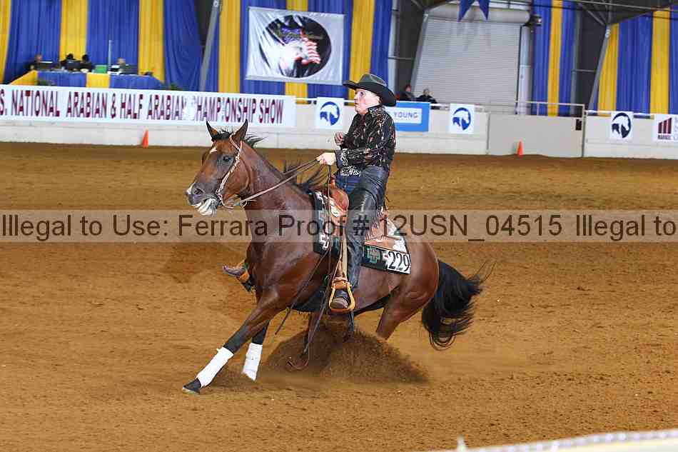Proof 12usn_04515