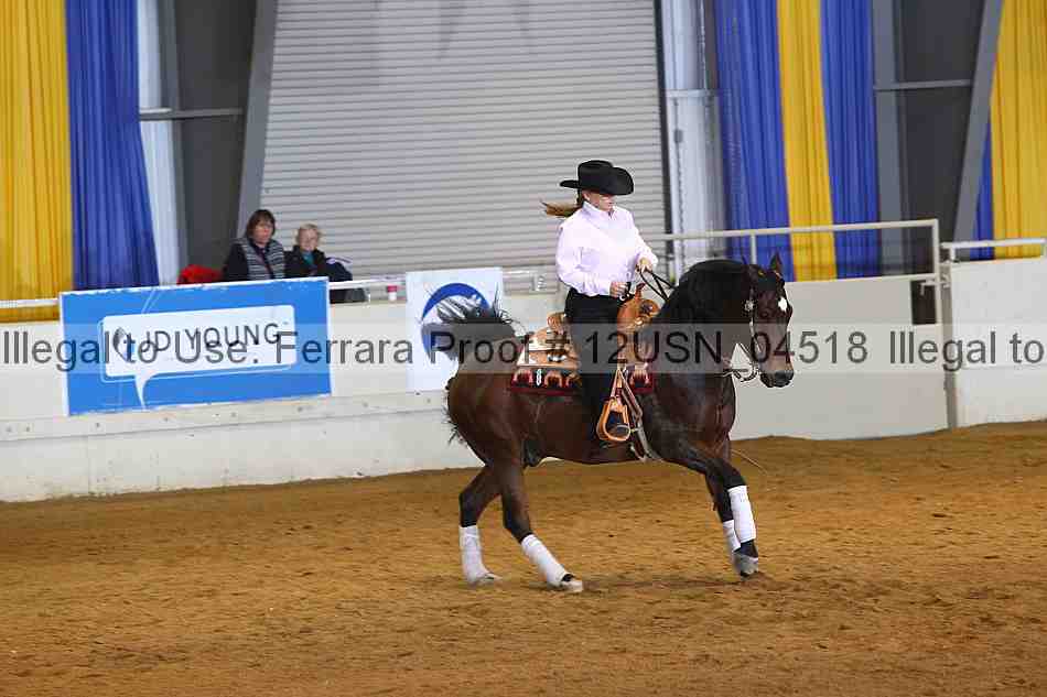 Proof 12usn_04518