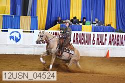 12usn_04524 proof