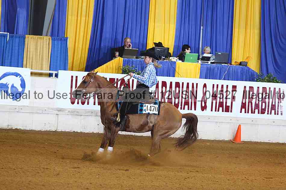 Proof 12usn_04527