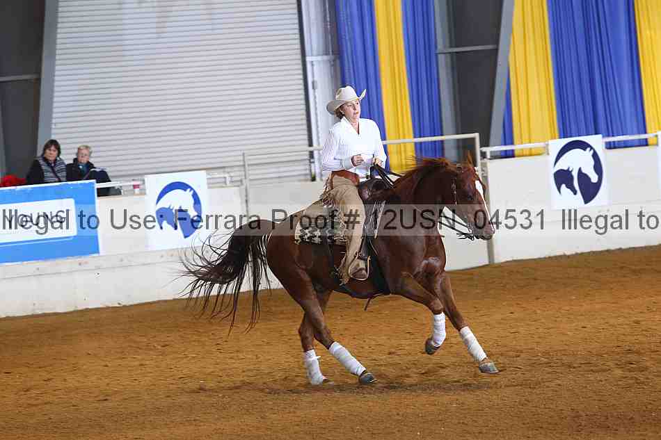 Proof 12usn_04531