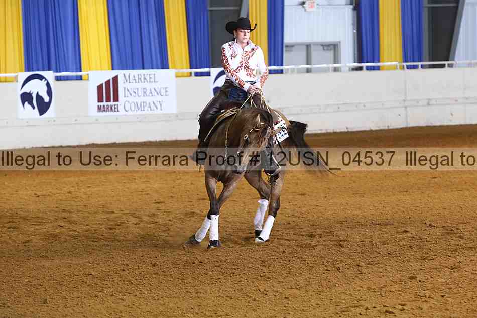 Proof 12usn_04537