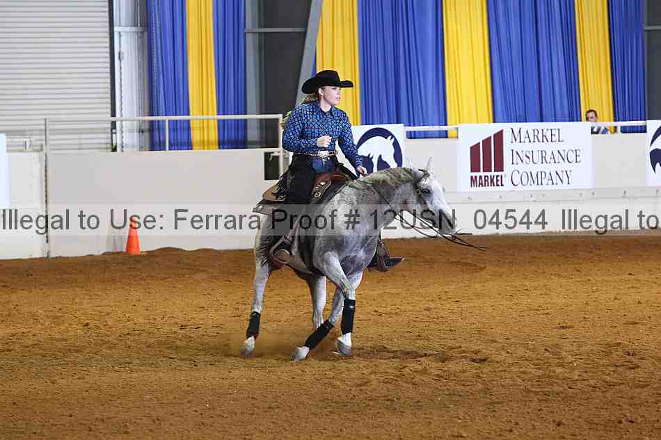 Proof 12usn_04544