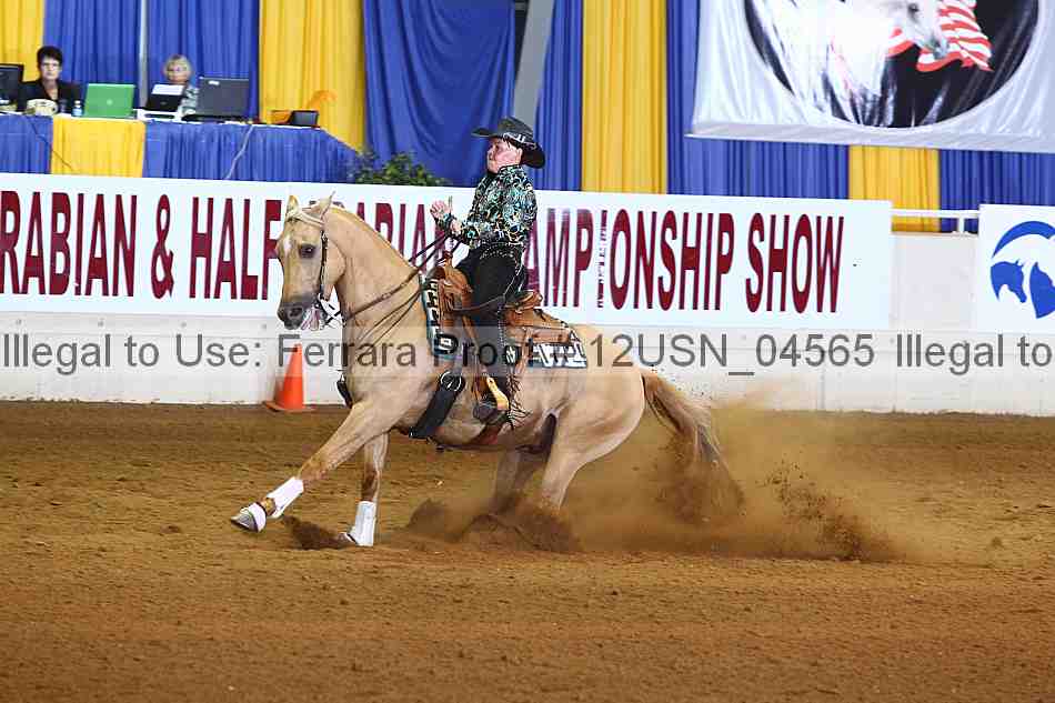 Proof 12usn_04565