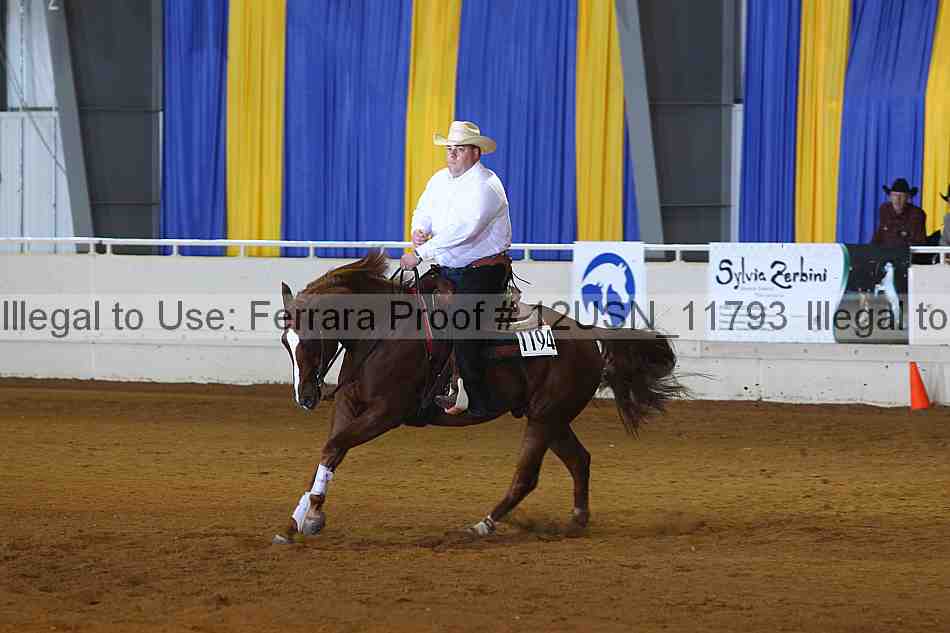 Proof 12usn_11793