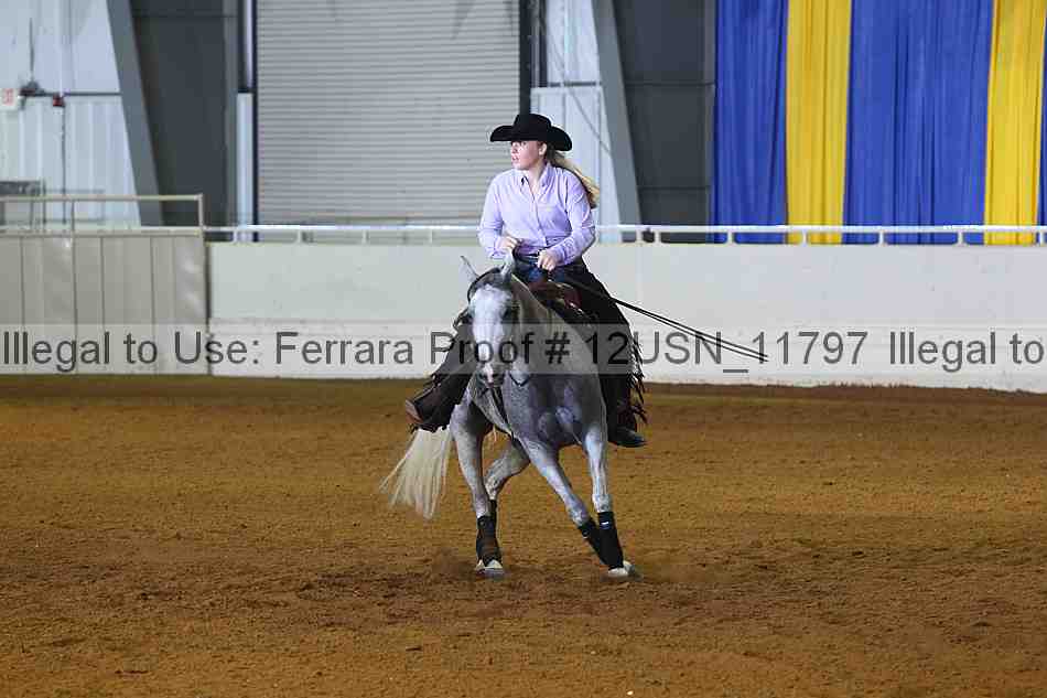 Proof 12usn_11797