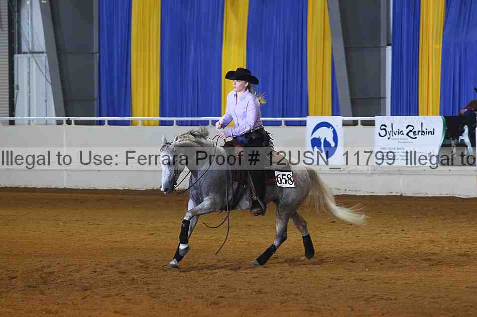 Proof 12usn_11799