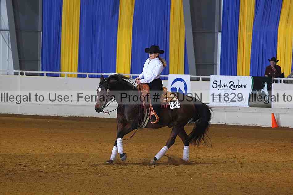 Proof 12usn_11829