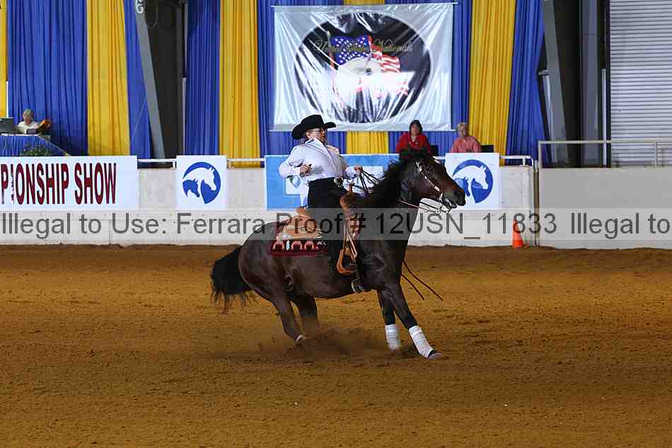 Proof 12usn_11833