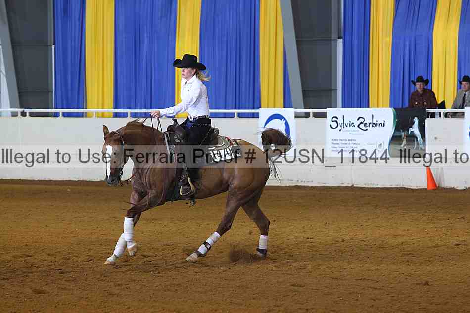 Proof 12usn_11844