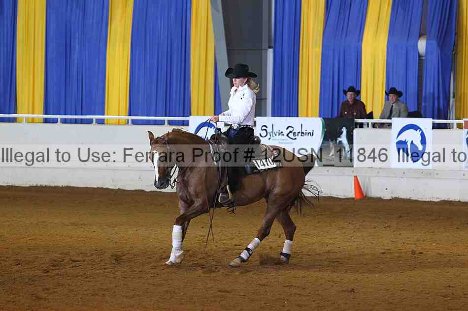 Proof 12usn_11846