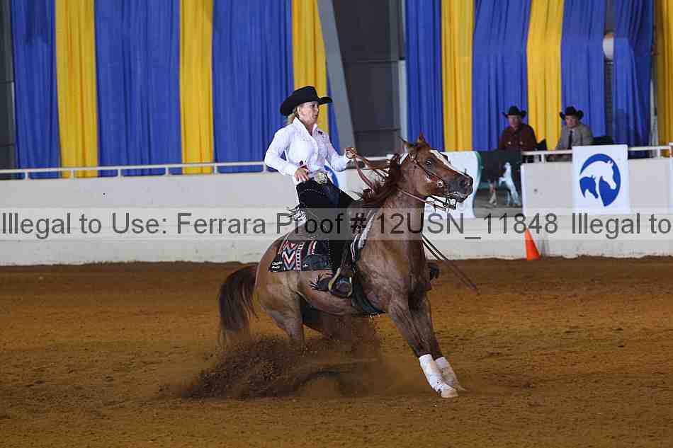 Proof 12usn_11848