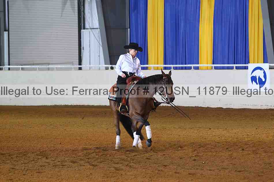 Proof 12usn_11879