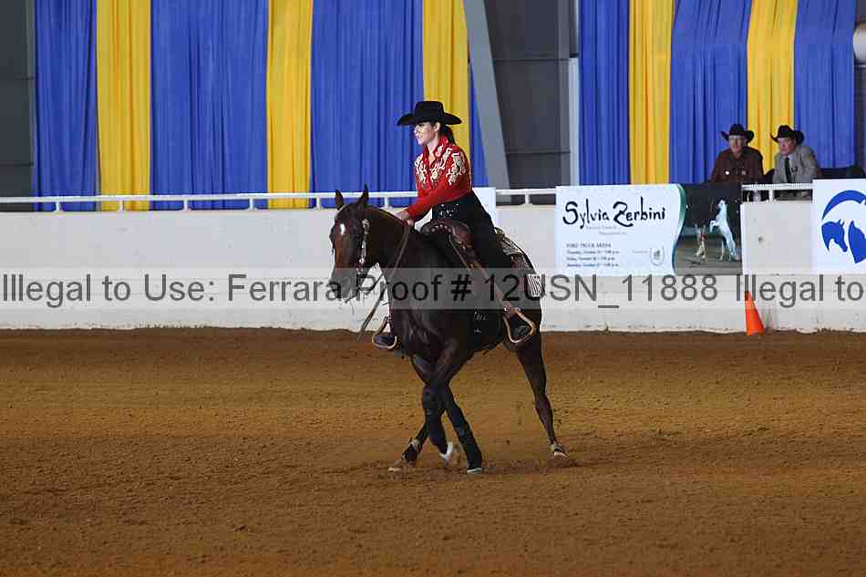Proof 12usn_11888