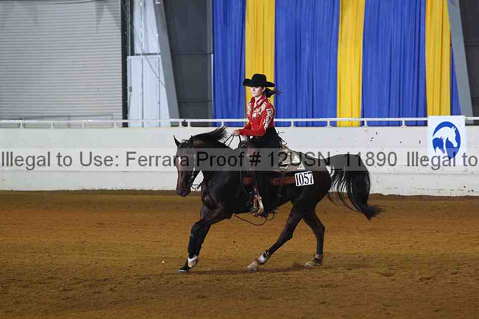 Proof 12usn_11890
