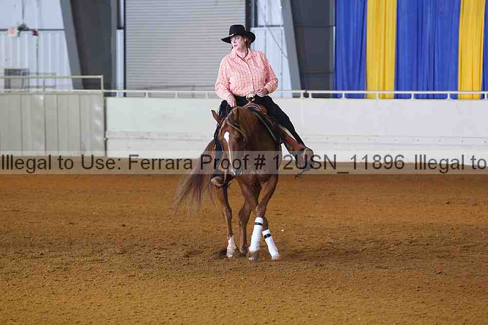 Proof 12usn_11896