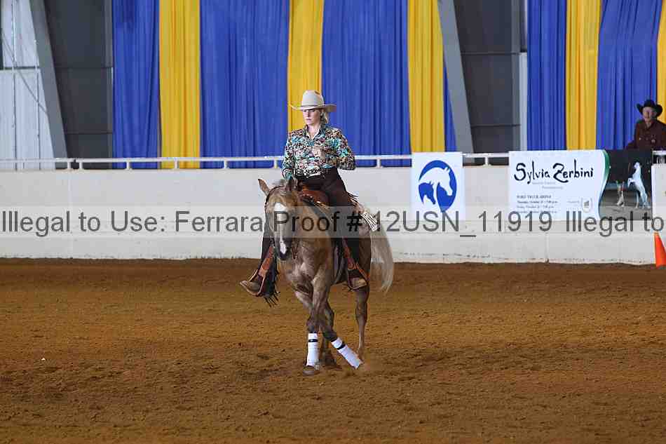 Proof 12usn_11919