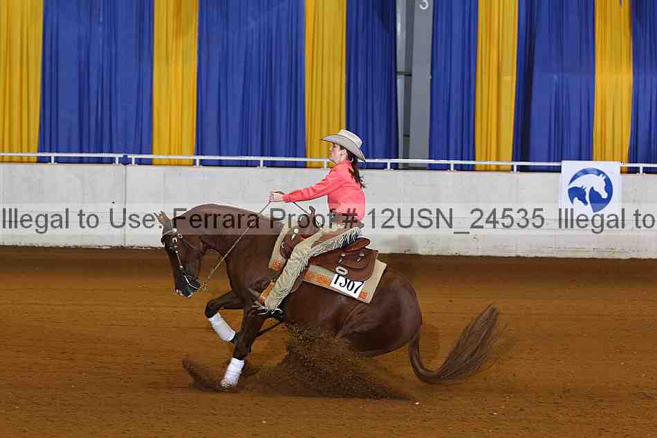 Proof 12usn_24535