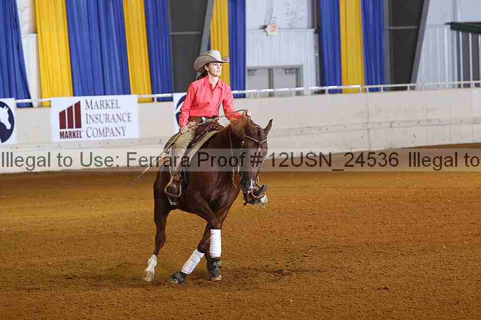 Proof 12usn_24536