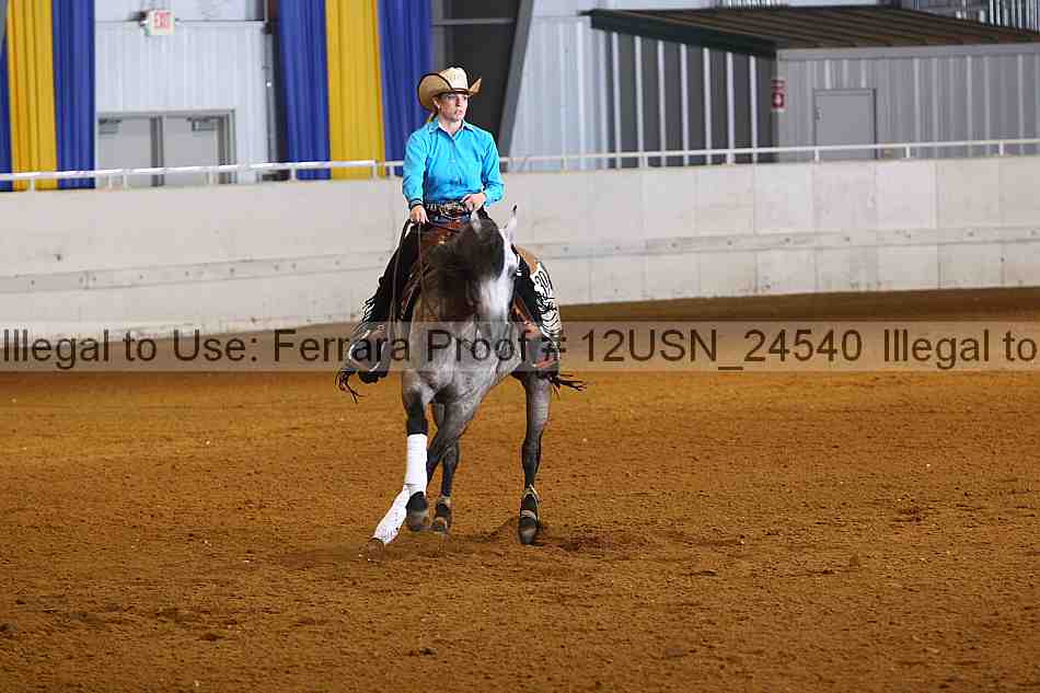 Proof 12usn_24540