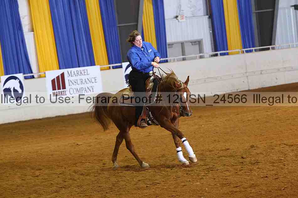 Proof 12usn_24566