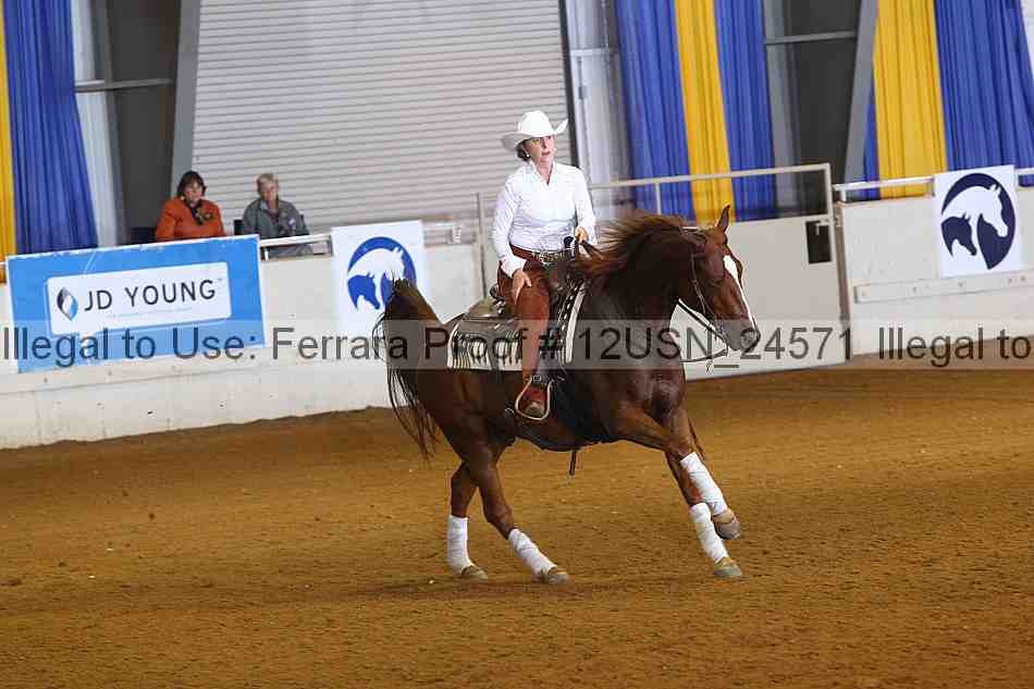 Proof 12usn_24571