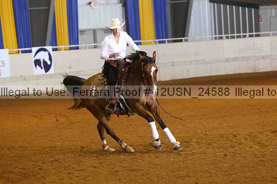 Proof 12usn_24588