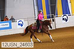 12usn_24603 proof