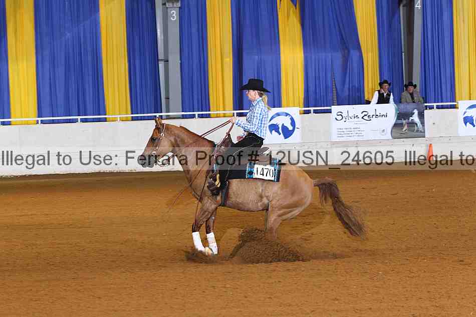Proof 12usn_24605